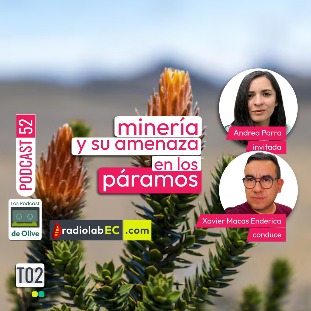 Minería y su amenaza en los páramos | Podcast 52 #LosPodcastDeOlive