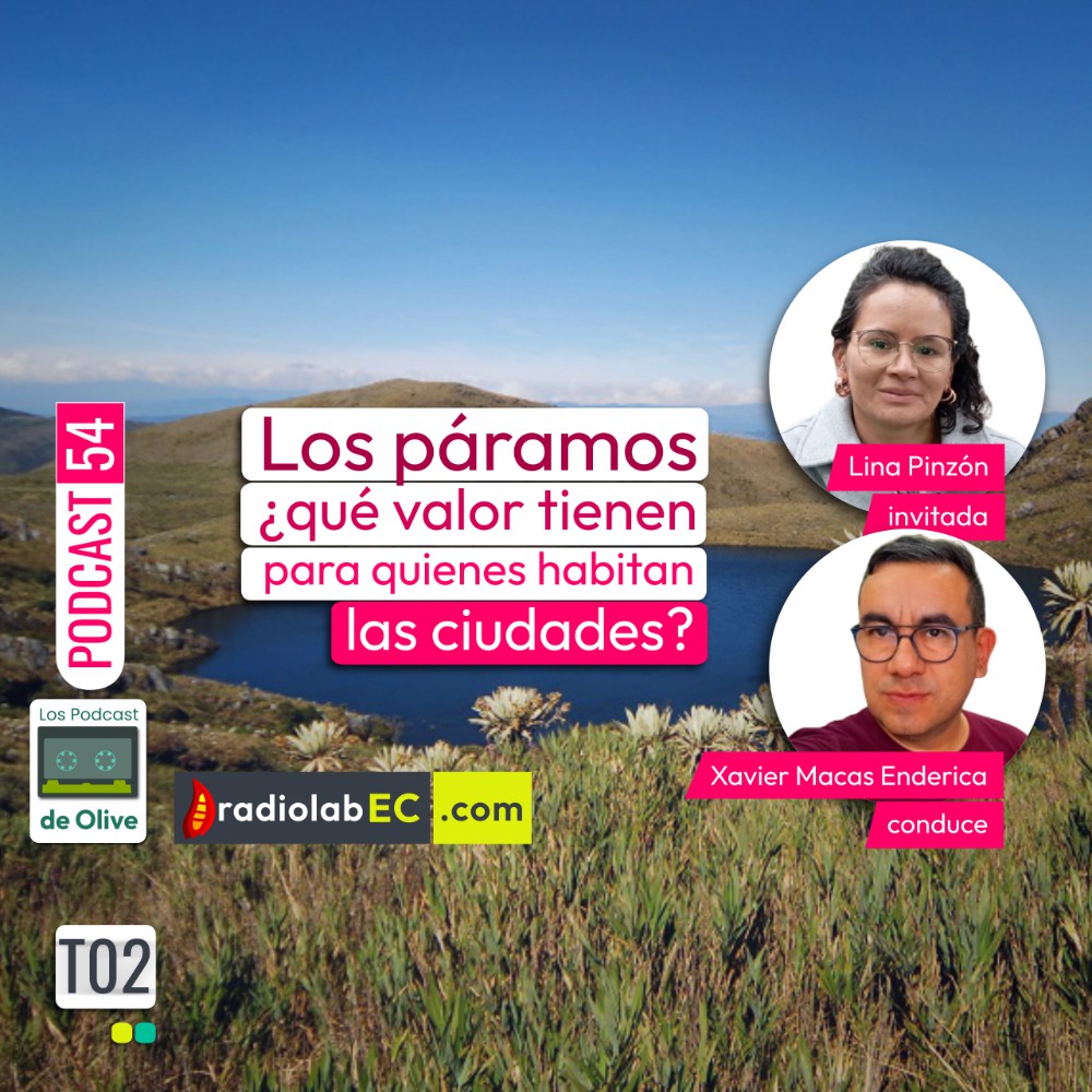 Los páramos ¿qué valor tienen para quienes habitan las ciudades? | Podcast 54 #LosPodcastDeOlive